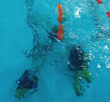 Дайвинг в Новороссийске глубокое погружение с аквалангом. Ultra Подарки. Дайвинг. Купить дайвинг в Новороссийске, обучение глубокому погружению, арендовать акваланг и подводное снаряжение. UltraPodarki.ru 8 800 505 95 30. дайвинг погружение Новороссийск, подводное плавание Новороссийск, дайвинг клуб Новороссийск, подарочные сертификаты, глубокое погружение, погружение с аквалангом Новороссийск, дайвинг центр Новороссийск, купить дайвинг Новороссийск