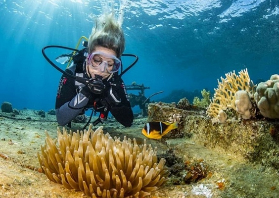 Дайвинг в Новороссийске глубокое погружение с аквалангом. Ultra Подарки. Дайвинг. Купить дайвинг в Новороссийске, обучение глубокому погружению, арендовать акваланг и подводное снаряжение. UltraPodarki.ru 8 800 505 95 30. дайвинг погружение Новороссийск, подводное плавание Новороссийск, дайвинг клуб Новороссийск, подарочные сертификаты, глубокое погружение, погружение с аквалангом Новороссийск, дайвинг центр Новороссийск, купить дайвинг Новороссийск