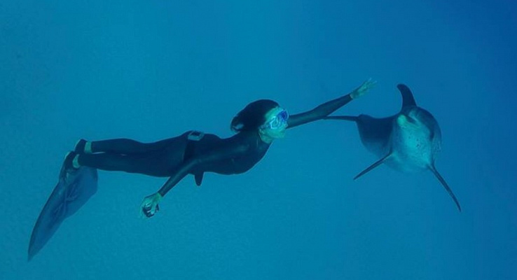 Дайвинг в Новороссийске глубокое погружение с аквалангом. Ultra Подарки. Дайвинг. Купить дайвинг в Новороссийске, обучение глубокому погружению, арендовать акваланг и подводное снаряжение. UltraPodarki.ru 8 800 505 95 30. дайвинг погружение Новороссийск, подводное плавание Новороссийск, дайвинг клуб Новороссийск, подарочные сертификаты, глубокое погружение, погружение с аквалангом Новороссийск, дайвинг центр Новороссийск, купить дайвинг Новороссийск