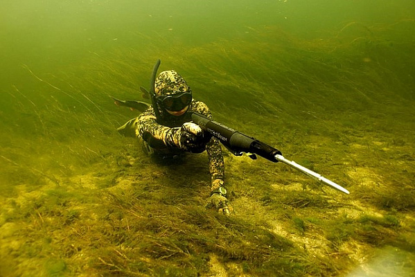 Дайвинг в Новороссийске глубокое погружение с аквалангом. Ultra Подарки. Дайвинг. Купить дайвинг в Новороссийске, обучение глубокому погружению, арендовать акваланг и подводное снаряжение. UltraPodarki.ru 8 800 505 95 30. дайвинг погружение Новороссийск, подводное плавание Новороссийск, дайвинг клуб Новороссийск, подарочные сертификаты, глубокое погружение, погружение с аквалангом Новороссийск, дайвинг центр Новороссийск, купить дайвинг Новороссийск